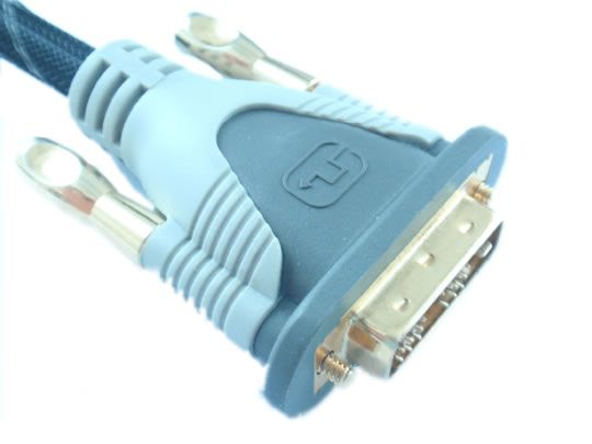 DVI Cable #55
