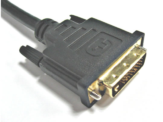 DVI Cable #24